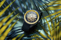 Rado Captain Cook High-Tech Ceramic Skeleton Limited Edition 43mm