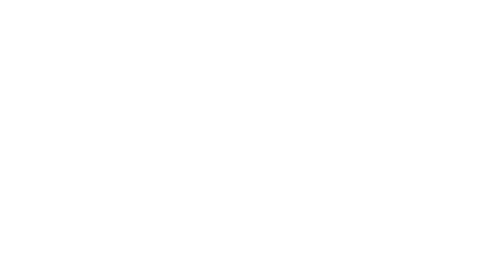 16 9 Brogle white