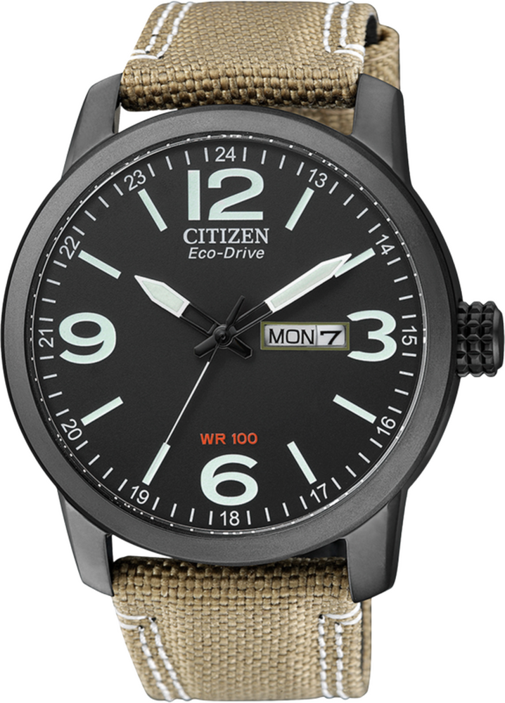 Citizen Basic Herren 42mm