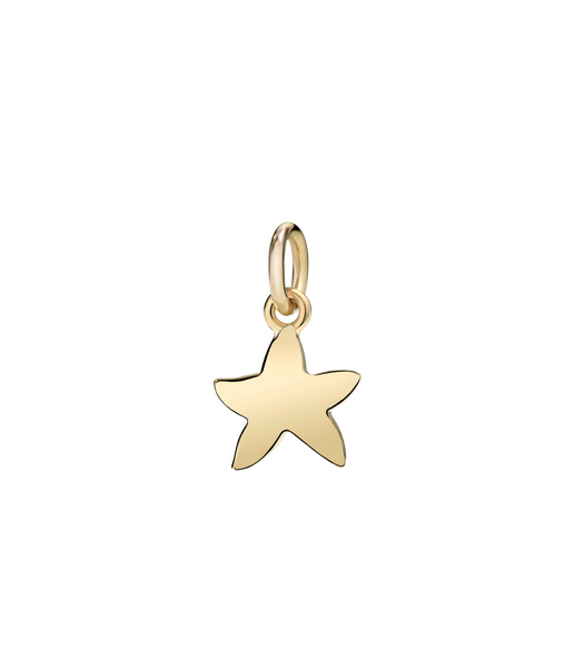 Dodo starfish (small) Pendant