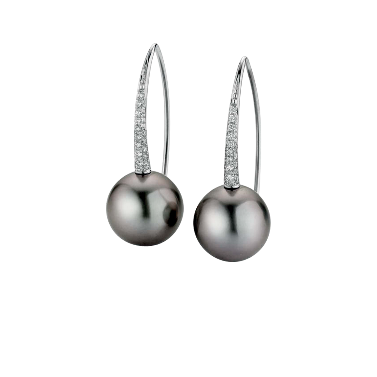 Gellner Modern Classic Earrings