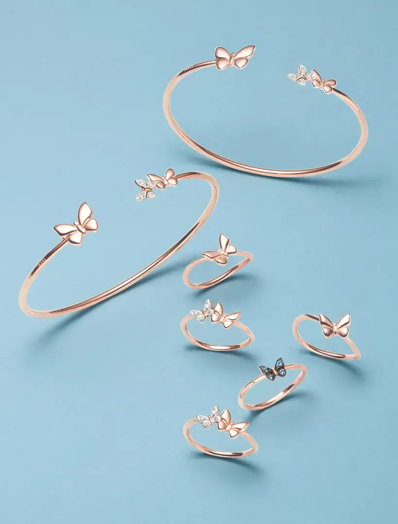 K dodo butterfly