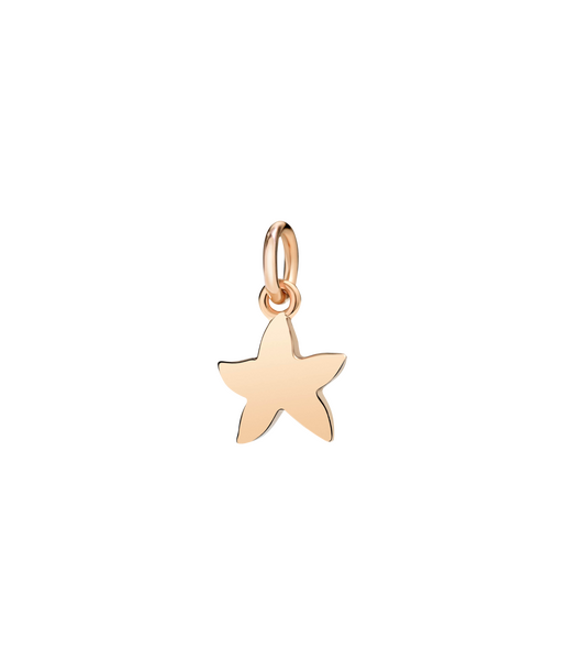 Dodo starfish (small) Pendant